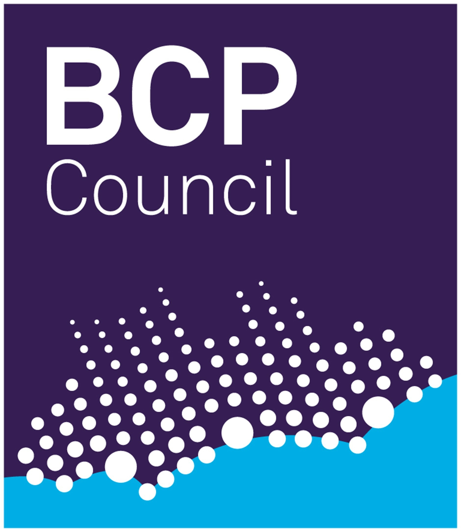 BCP_council.jpg