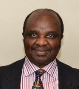 Public Governor Emmanuel Udezue.jpg